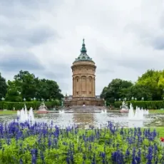 Der Mannheimer Wasserturm mit Blumenbeeten